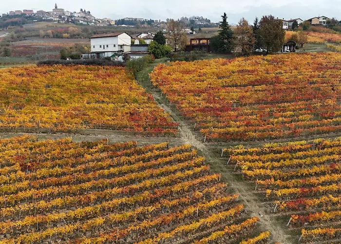 Cagia - Bike Food And Relax Bed & Breakfast Diano dʼAlba